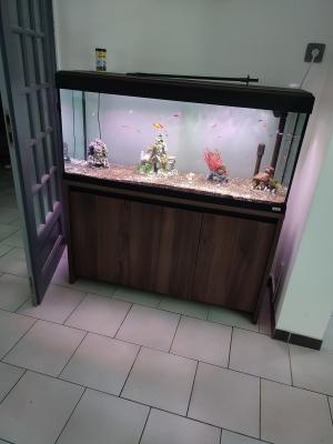 Aquarium Fluval 240 Litres