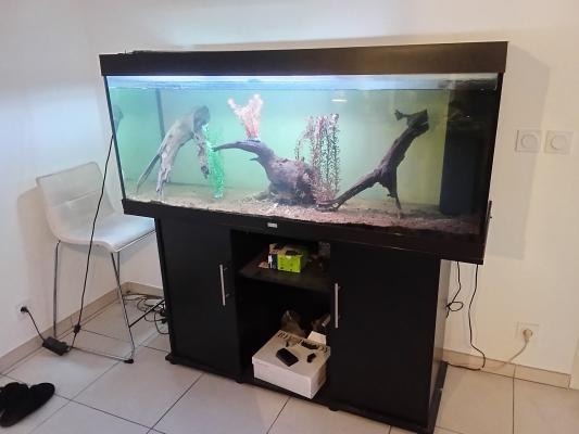 Aquarium Juwel 500 litres