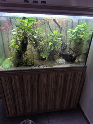 Aquarium 450 L + meuble