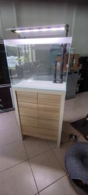 Aquarium fluval fresh f60 + meuble