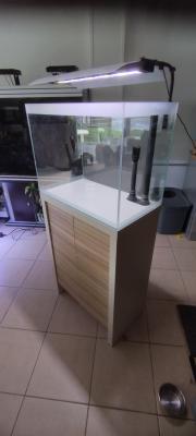 Aquarium fluval fresh f60 + meuble