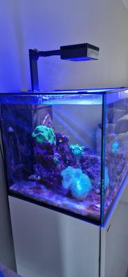 Aquarium marin RedSea 180 L