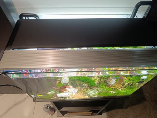 Aquarium complet avec meuble bien équipée