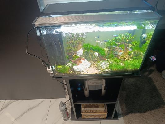Aquarium complet avec meuble bien équipée