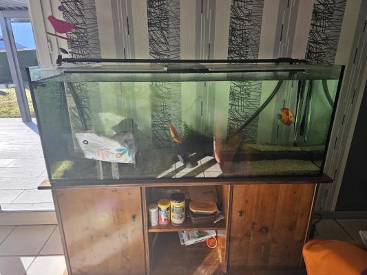 Aquarium 400l