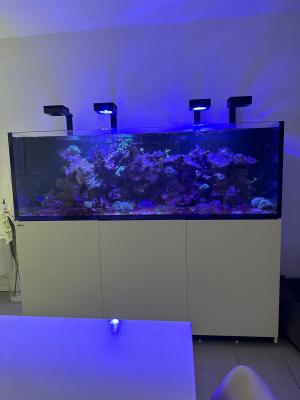 Aquarium eau de mer 750L / set complet + matériel