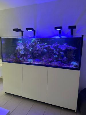 Aquarium eau de mer 750L / set complet + matériel