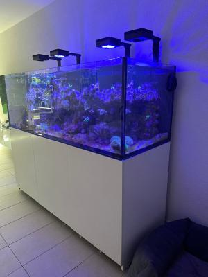 Aquarium eau de mer 750L / set complet + matériel