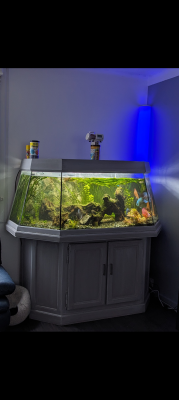 Aquarium 500 L