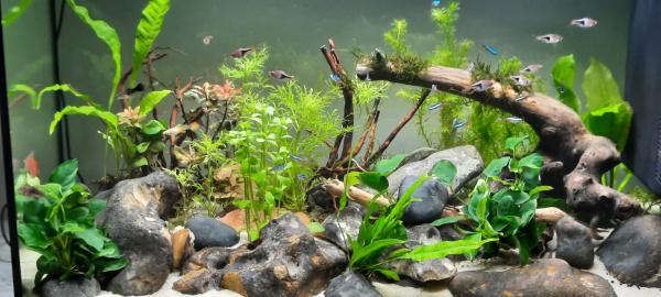 Aquarium aquatlantis 180 l