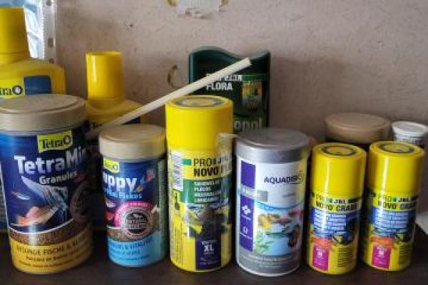 Nano aquarium 30 litres