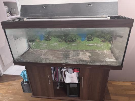 Aquarium EHEIM Rio 400 L avec meuble + filtre EHEIM Pro 3 (2073)