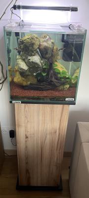 Aquarium colonne Sera