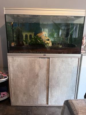 Vend aquarium