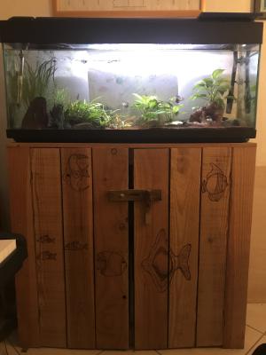 Aquarium 130l tout compris avec meuble