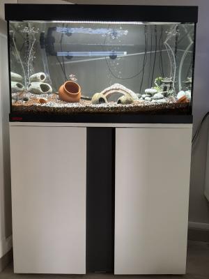 Ensemble complet Aquarium EHEIM 126L + Meuble