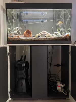 Ensemble complet Aquarium EHEIM 126L + Meuble