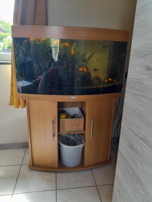 Aquarium Juwel 180 L complet
