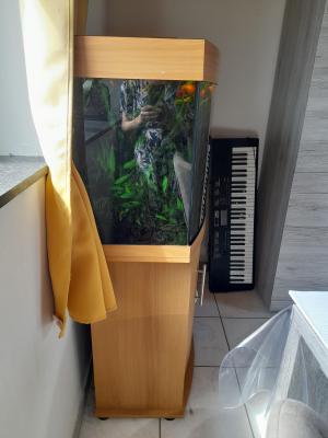 Aquarium Juwel 180 L complet