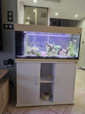 Aquarium 200l sur meuble