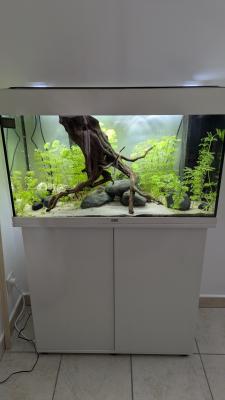Vente aquarium