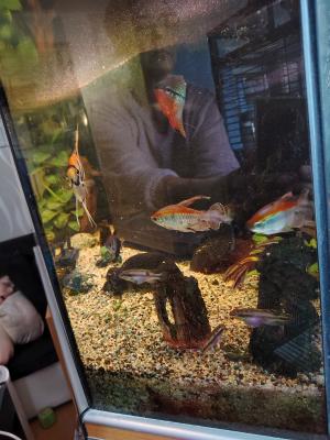 Aquarium 250l complet