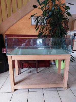 Aquarium (terrarium-vivarium)