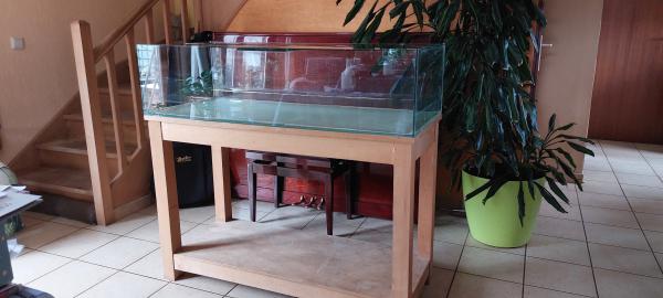 Aquarium (terrarium-vivarium)