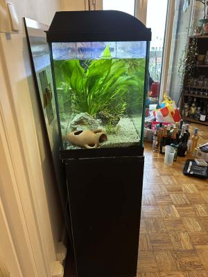 Aquarium 100 L Zolux