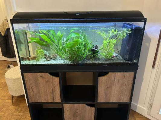Aquarium 100 L Zolux
