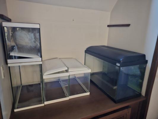 Lot 3 aquariums 🎉 prix donné