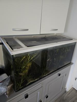 Aquarium 240L🎉 1m20