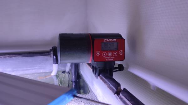 A vendre aquarium 200 litre d'angle avec son meuble