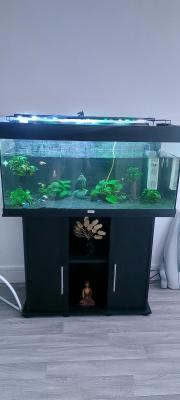 Aquarium Jewel 180L + meuble