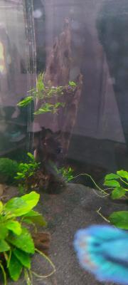 Aquarium Jewel 180L + meuble