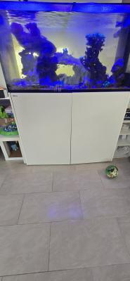 Redsea Peninsula 500