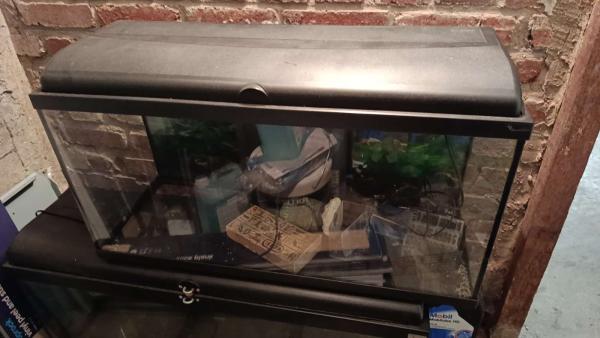 Aquarium 100L