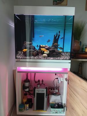 Aquarium avec meuble Eheim