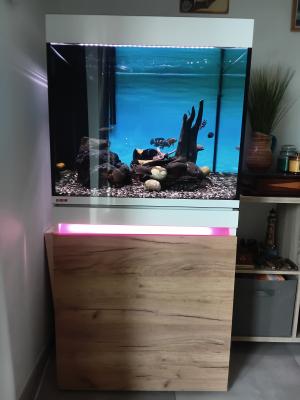 Aquarium avec meuble Eheim