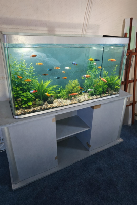 Aquarium 350L🎉+meuble gris