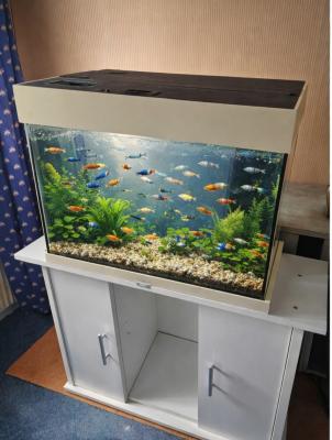 Aquarium 🎉136L +meuble blanc
