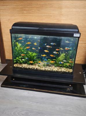 Aquarium 60L noir🎉prix donné