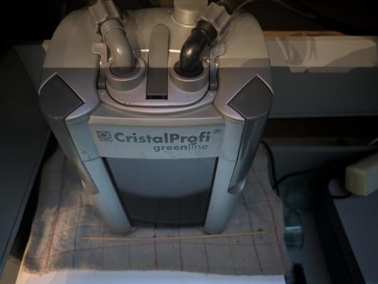 Aquarium 250litres tout compris