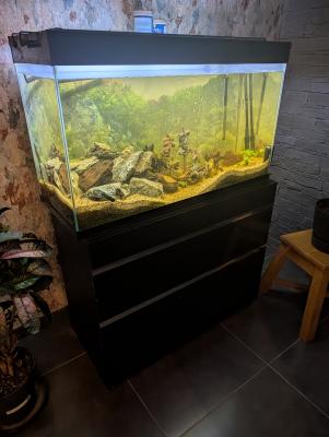 Aquarium 250litres tout compris