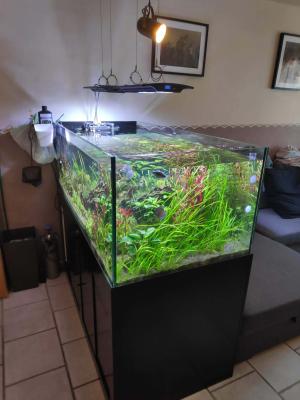 Aquarium sur mesure
