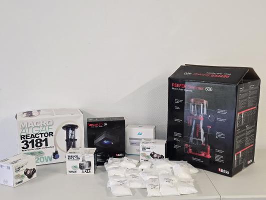 Aquarium eau de mer récifal