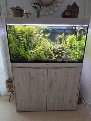 Aquarium plendid