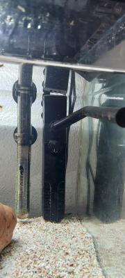 Aquarium complet avec poissons