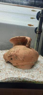 Aquarium complet avec poissons