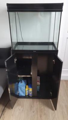 Aquarium avec meuble